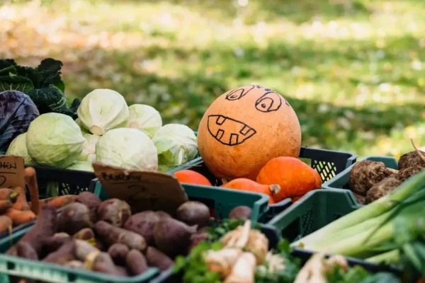 Dożynki w gminie Wieliczki już jutro – KGW kończą przygotowania