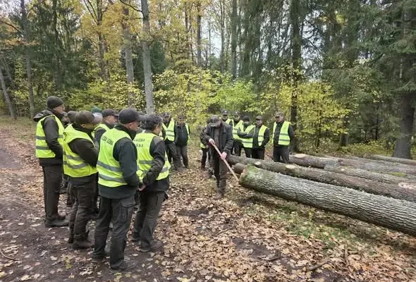 Leśnicy z Olecka szkolili się z klasyfikacji drewna wielkowymiarowego